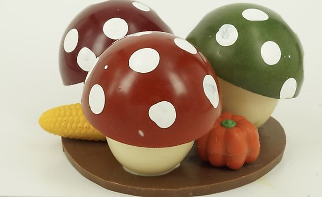 herfst bonbons - Chocovin Bonbons & Chocolade