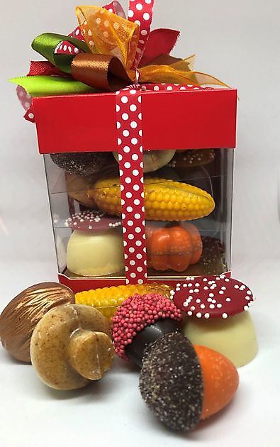 herfstbonbons - Chocovin Bonbons & Chocolade