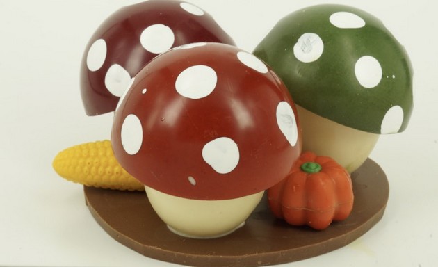 herfst bonbons - Chocovin Bonbons & Chocolade Winschoten