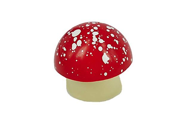 Vier de herfst met onze prachtige herfstbonbons en herfstchocolade - Chocovin Bonbons & Chocolade Winschoten